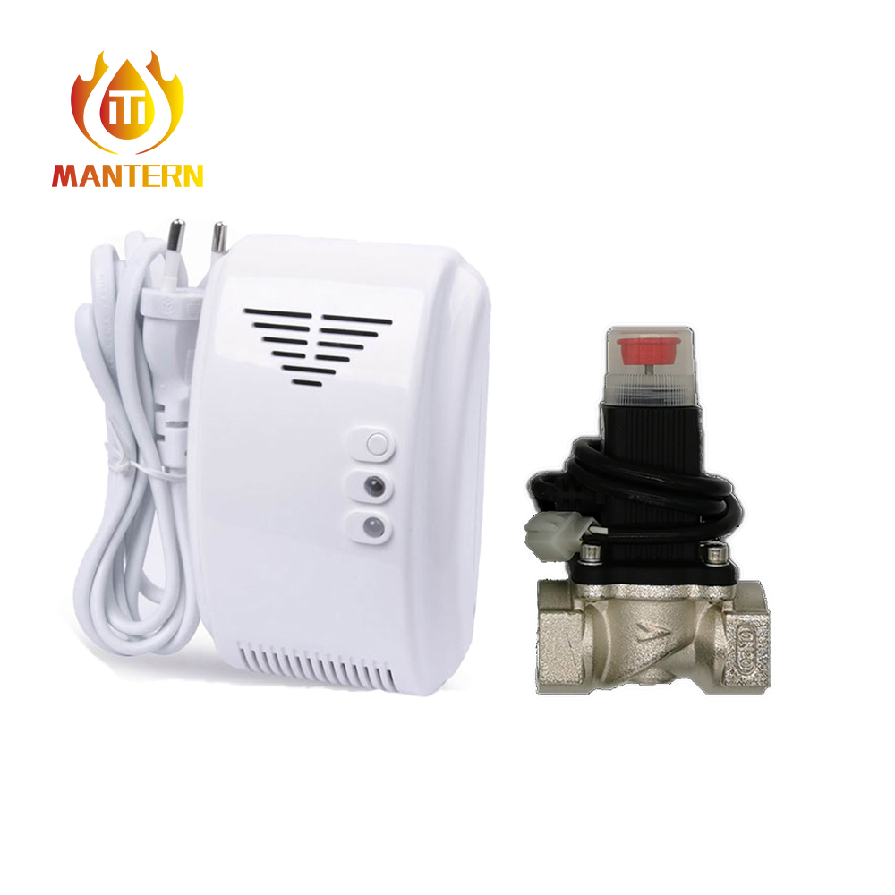 Детектор бытового газа MTGA03V и газовый клапан MTV01